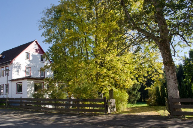 Ferienhaus Monarda mit Einfahrt