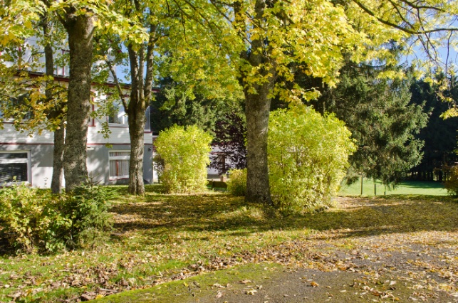 Ferienhaus Monarda im Herbst