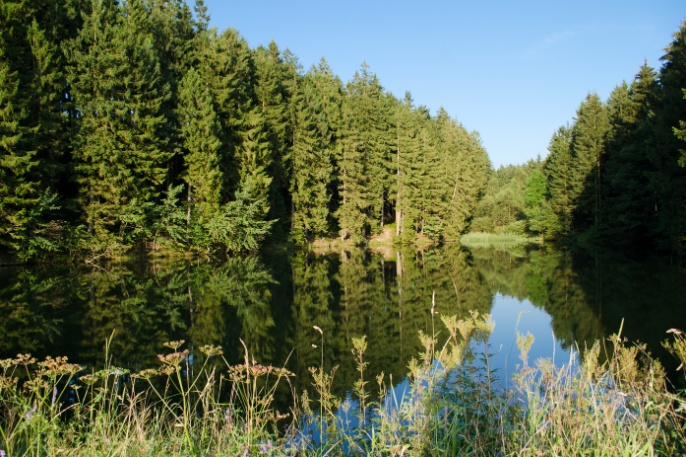 Hahnenklee Liebesbankweg